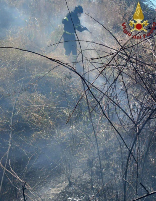Incendi, diversi interventi dei Vigili del Fuoco