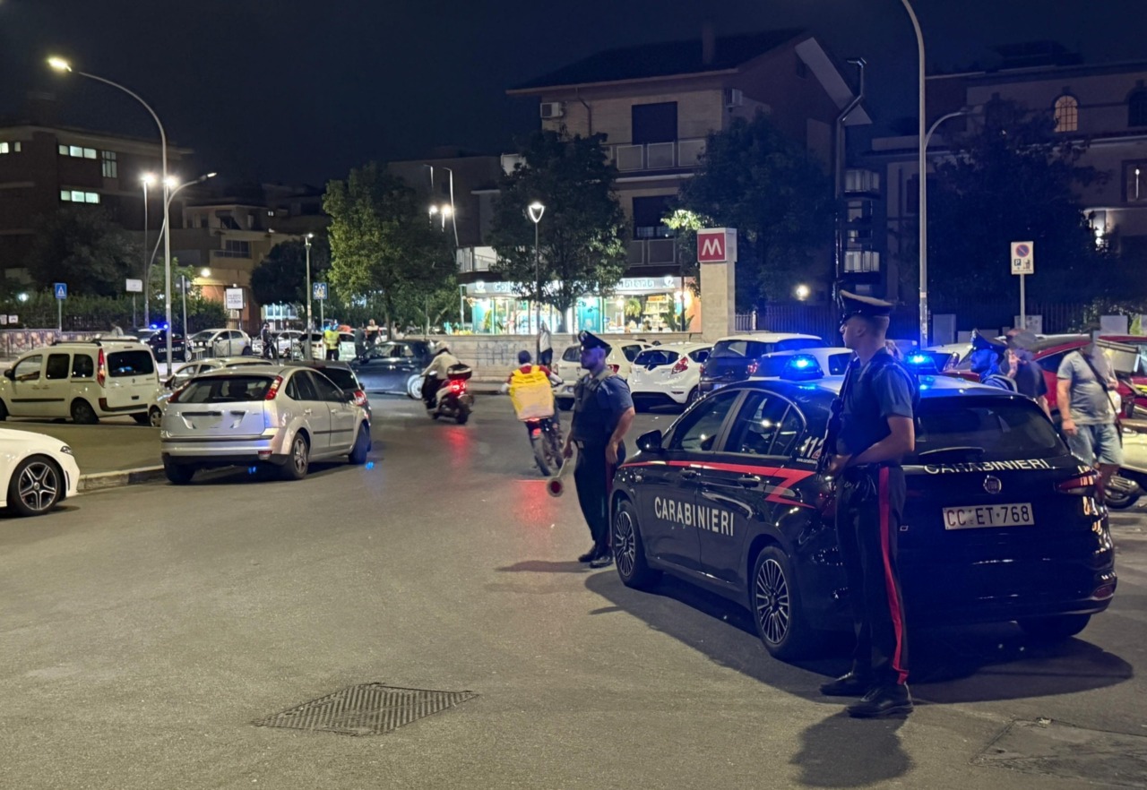 Criminalità, i controlli dei Carabinieri