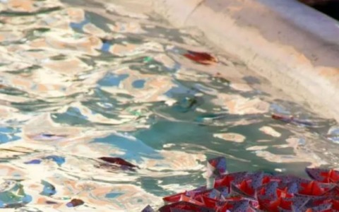 Barche di carta con colori della Flotilla a fontana di Trevi