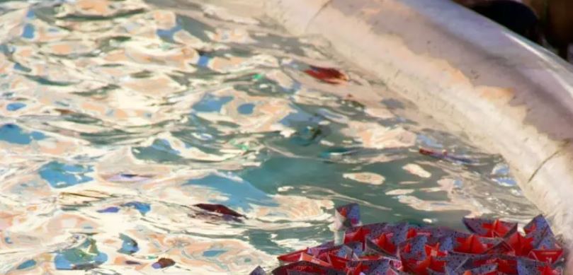 Barche di carta con colori della Flotilla a fontana di Trevi