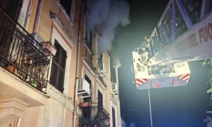 Incendio nella notte, salvo un gatto e una tartaruga, morto un secondo animale