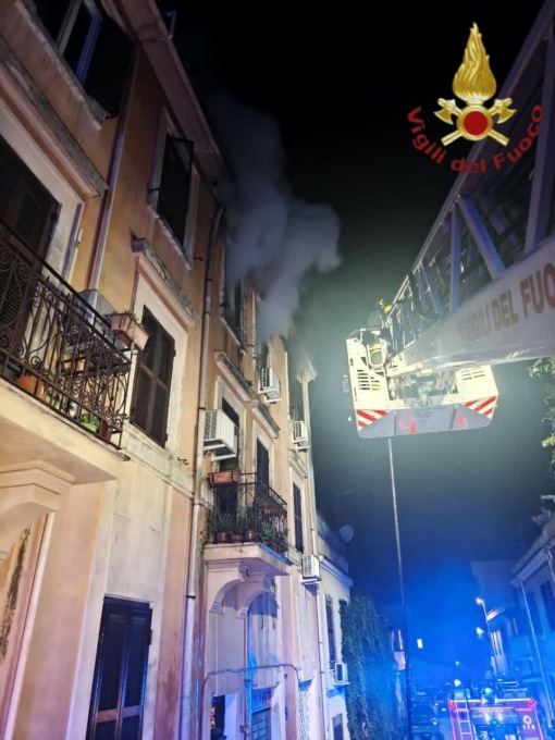 Incendio nella notte, salvo un gatto e una tartaruga, morto un secondo animale