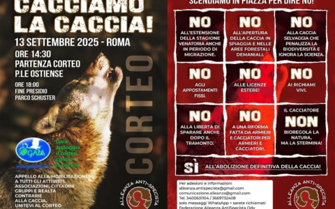 Cacciamo la caccia, domani la manifestazione