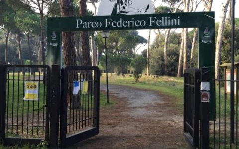 Avviati i lavori di recupero della Pineta monumentale di Fregene