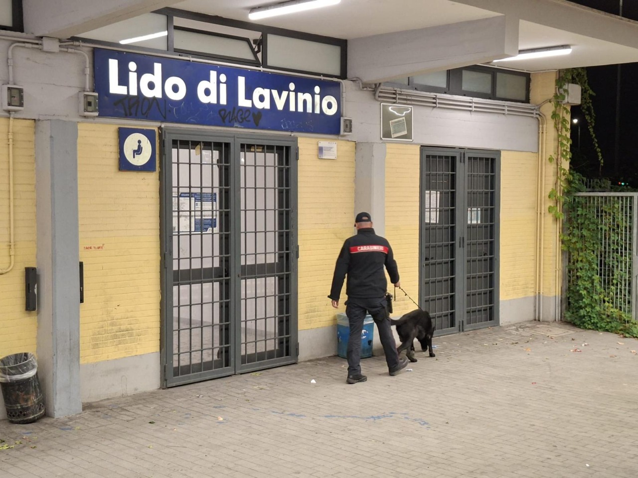 Blitz dei carabinieri a Lavinio. Coltelli, droga e auto sequestrata