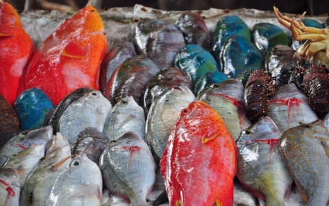 Sequestrati 3,5 quintali di pesce, multe per 33mila euro