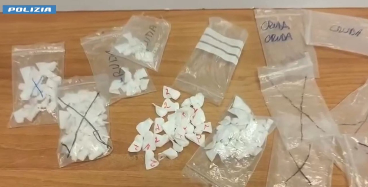 Droga nelle siepi e nelle porte blindate, 7 arresti