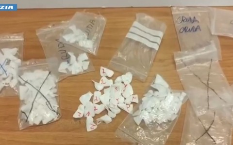 Droga nelle siepi e nelle porte blindate, 7 arresti