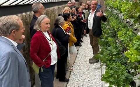 Villa Pamphili, nuova vita alle serre del Casale dei Cedrati
