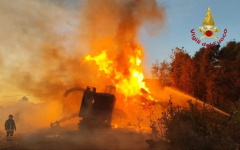 Incendio nella pineta di Castel Fusano, vigili del fuoco al lavoro tutta la notte