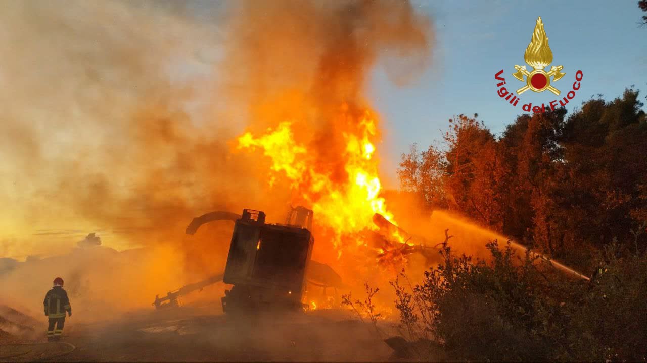 Incendio nella pineta di Castel Fusano, vigili del fuoco al lavoro tutta la notte
