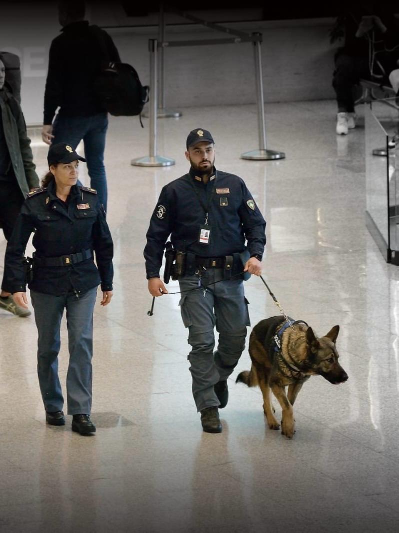 Da San Paolo a Roma con 48 ovuli nello stomaco