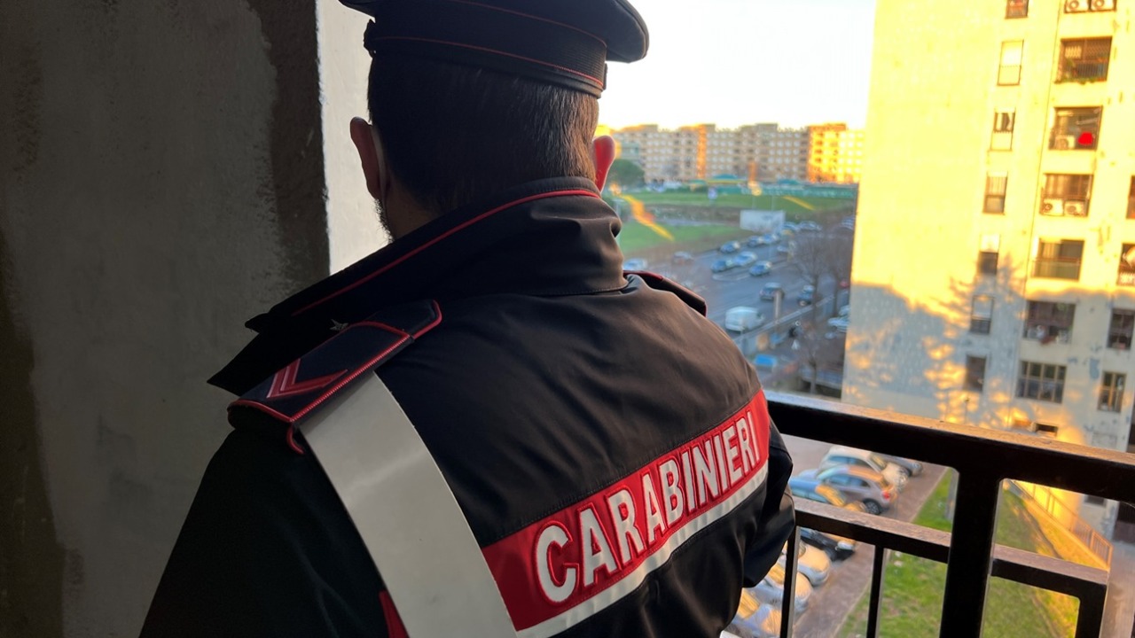 Controlli antidroga dei carabinieri , 11 arresti
