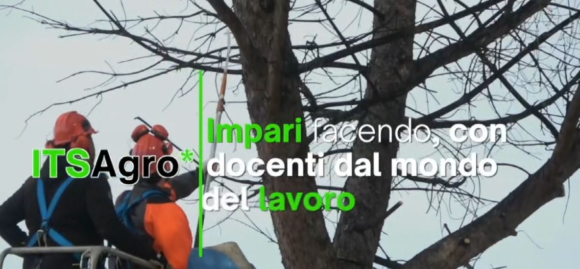 Al via le iscrizioni per l’ITS Agro