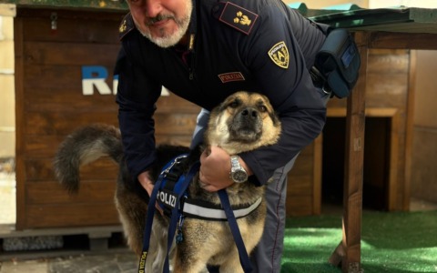 Scuole Sicure”, Rex protagonista dell’incontro educativo alla scuola “Giulio Cesare”