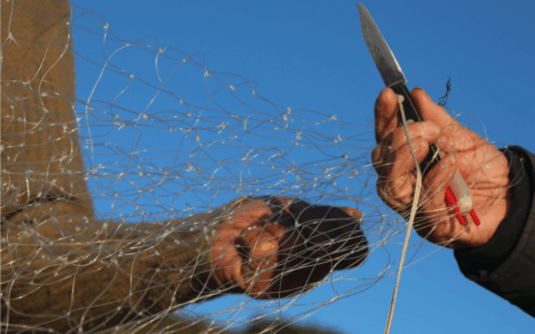 Al via la prima edizione del Festival del Pescato Locale
