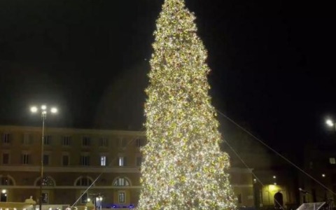 L’albero di Natale da 20 metri arriva a piazza del Popolo per le festività 2025