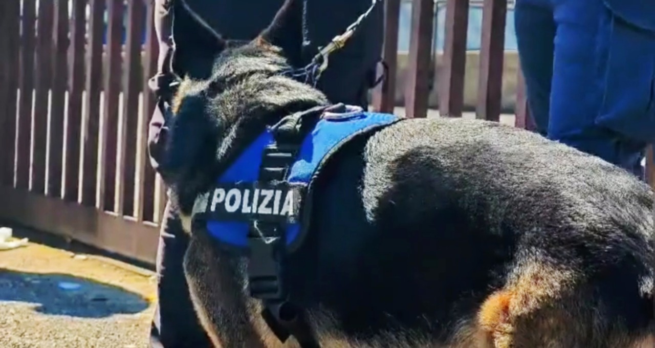 Spaccio di droga a Tor Bella Monaca e al Quarticciolo, altri quattro arresti. VIDEO