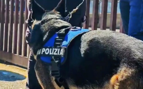 Spaccio di droga a Tor Bella Monaca e al Quarticciolo, altri quattro arresti. VIDEO