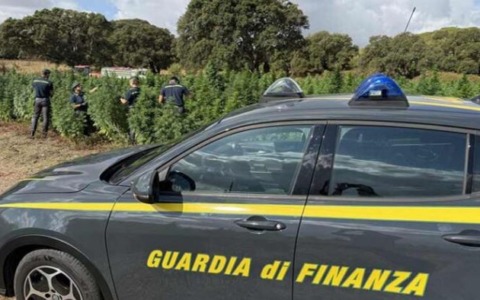 Sequestrati 30 chili di marijuana, due persone denunciate