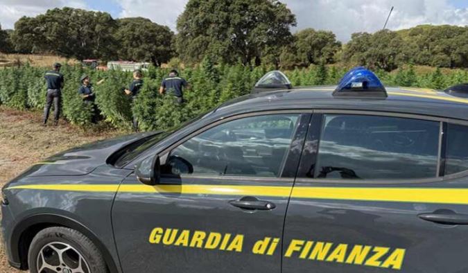 Sequestrati 30 chili di marijuana, due persone denunciate