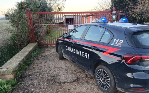 Indiano ucciso e abbandonato in strada, arrestato un connazionale