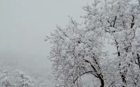 Arriva il freddo polare, temperature in calo