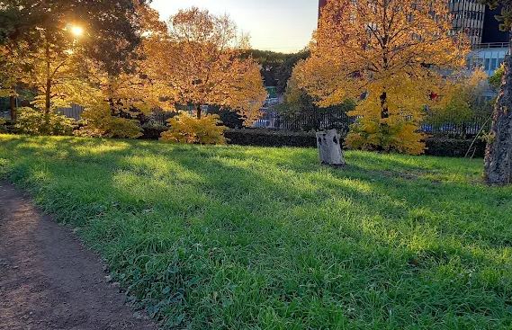 Lo stupro a Tor Tre Teste, il DNA non appartiene a nessuno dei tre arrestati