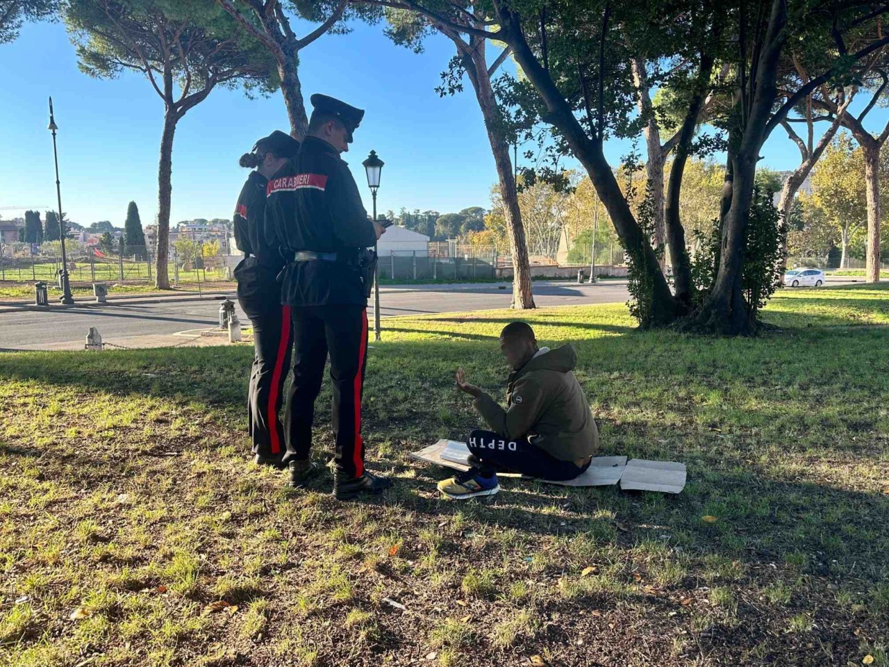 Furto e molestie, due arresti e due denunce dei Carabinieri