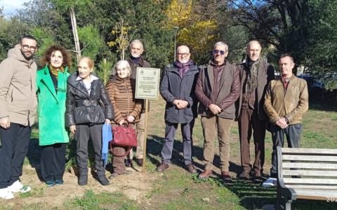 A Fregene un pino d’Aleppo in omaggio a Nanni Loy