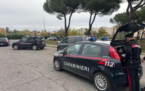 Spaccio di droga, 14 arresti dei carabinieri