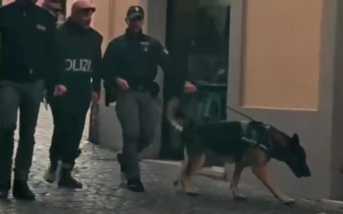 Operazione antidroga della Polizia tra Roma e Latina, 15 arresti e 8 indagati. VIDEO