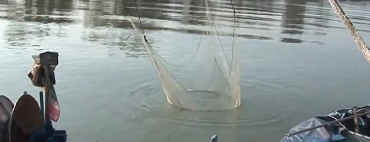 Fermo pesca, la  mozione del consigliere regionale Cosmo Mitrano