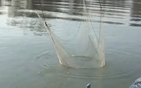 Fermo pesca, la mozione del consigliere regionale Cosmo Mitrano