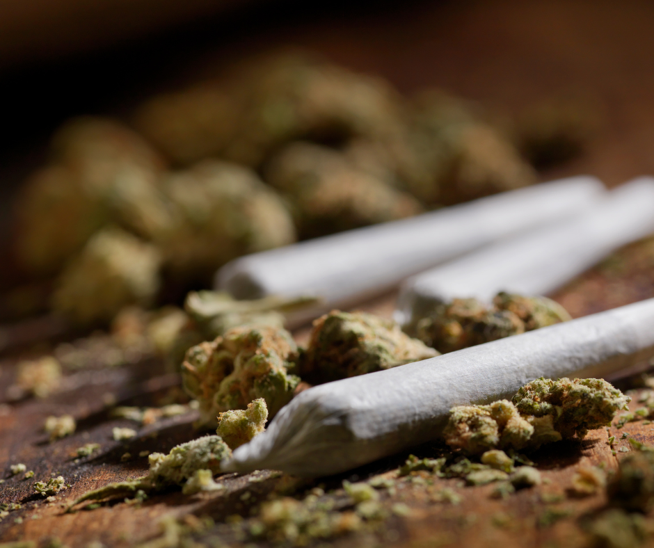 Arrestata 33enne trovata con oltre 300 grammi di marijuana in casa