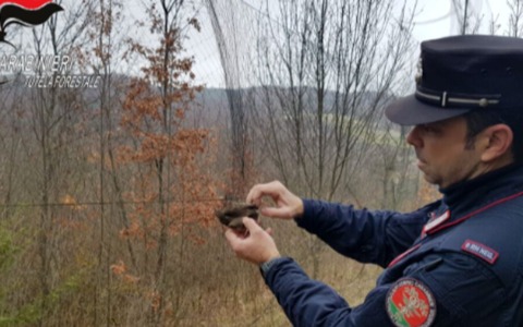 Bracconaggio, 19 denunce tra ottobre e dicembre