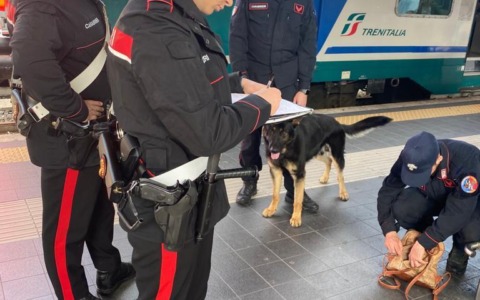 Maxi operazione dei Carabinieri contro illegalità e degrado durante il ponte dell’Immacolata
