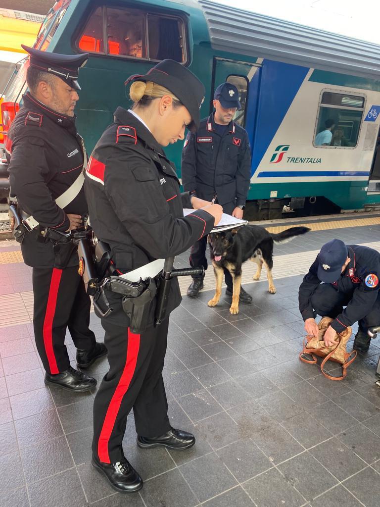 Maxi operazione dei Carabinieri contro illegalità e degrado durante il ponte dell’Immacolata