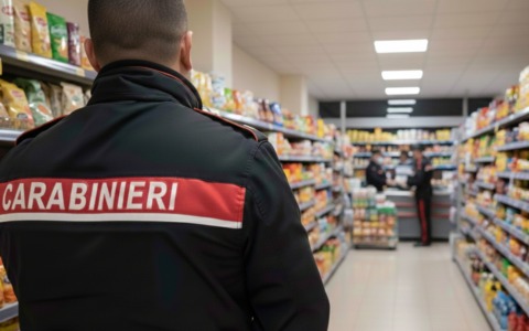 Rapina a negozio e barbiere a Morena: arrestato 34enne romano