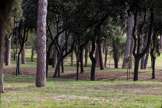 Partiti i lavori per la redazione del Piano del Verde e della Natura
