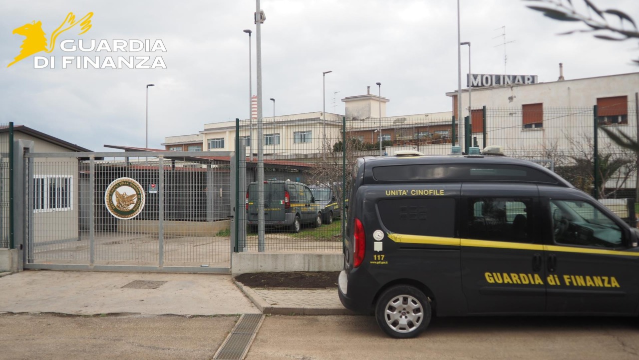 Porto, nuova area di addestramento per le unità cinofile della Guardia di Finanza