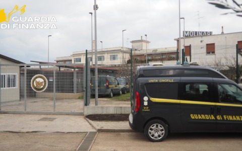 Porto, nuova area di addestramento per le unità cinofile della Guardia di Finanza