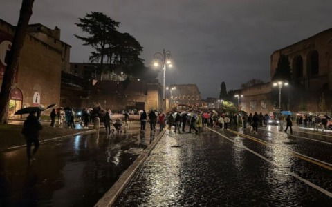 Maltempo, crolla un pino di 20 metri in via dei Fori Imperiali