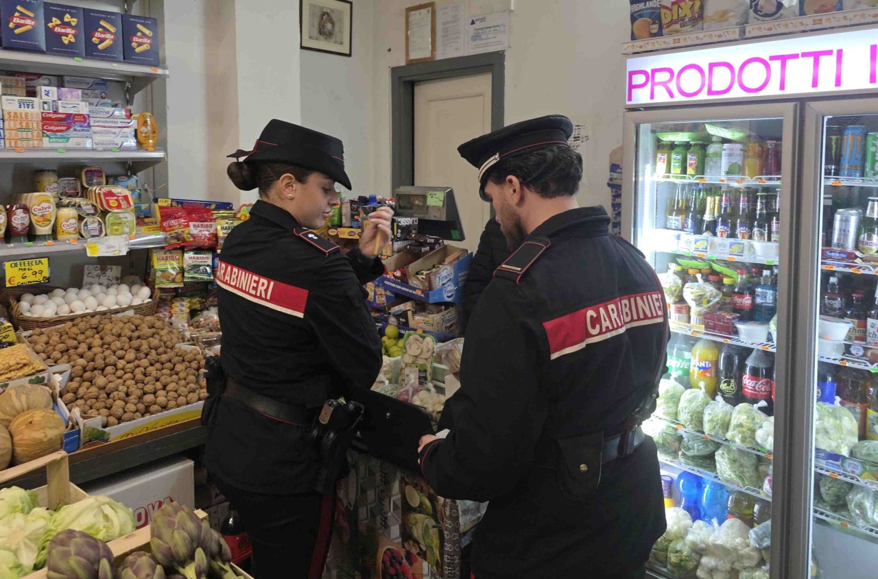 Maxi operazione dei Carabinieri: 5 arresti, 11 denunce e controlli