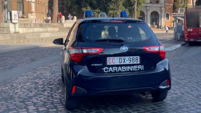 Cacciatore uccide un cinghiale in strada, paura tra i residenti