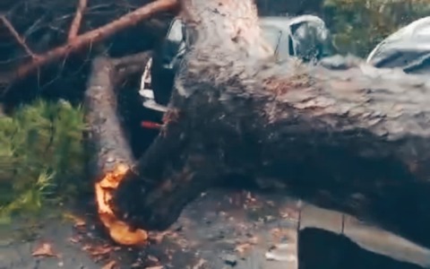 Allagamenti, alberi caduti e voragini.  A Roma 1.500 interventi