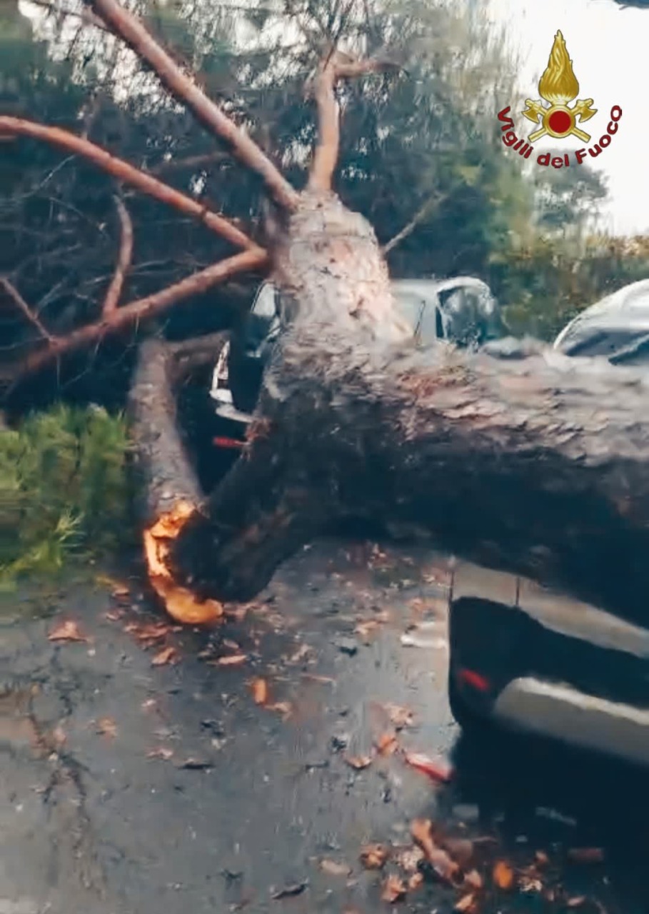 Allagamenti, alberi caduti e voragini.  A Roma 1.500 interventi