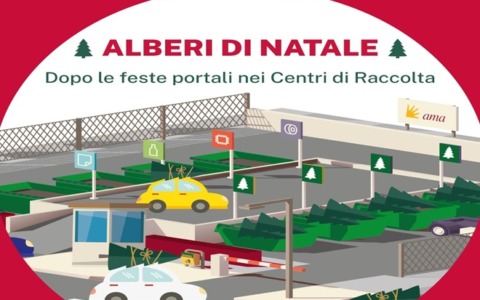 Raccolta straordinaria degli Alberi di Natale fino al 18 gennaio