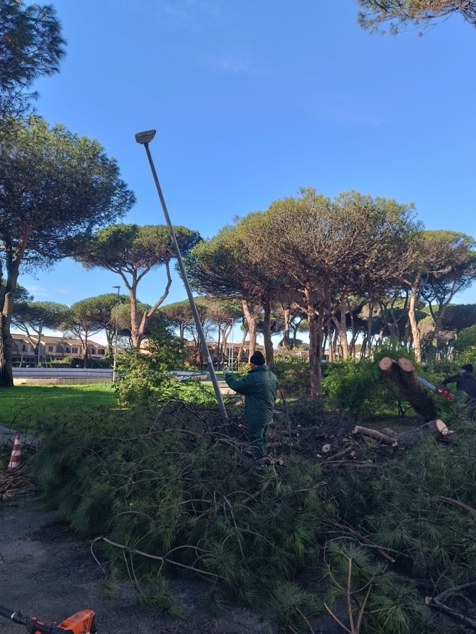 Pineta “Mazza”, disposta la chiusura per la messa in sicurezza