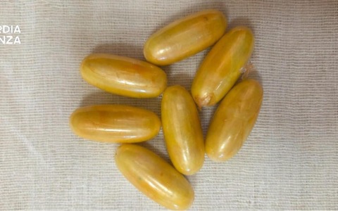 Cocaina ingerita in ovuli, arrestata una donna sudamericana